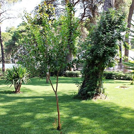 Il Melograno B&B Castellaneta Marina Eksteriør billede